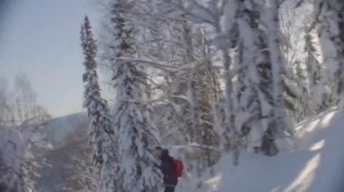 Sibirya'da skitour. Karlı bir ormandaki tepeden aşağı bir kişini.