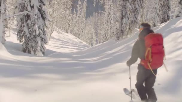 Ένας άνδρας ιππασία κάτω από το λόφο σε ένα χιονισμένο δάσος. — Αρχείο Βίντεο