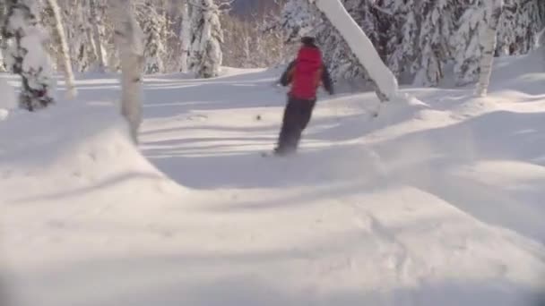 Een man die rijden naar beneden de heuvel in een besneeuwde forest. — Stockvideo