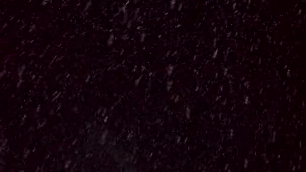 A neve cai durante a noite — Vídeo de Stock
