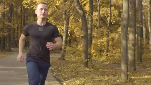 Hombre en ropa deportiva corriendo por la carretera en el parque — Vídeo de stock