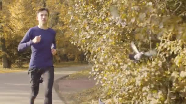 Yolda bir parkta koşan genç adam — Stok video