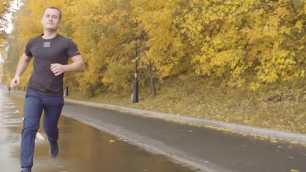 Homme en tenue de sport courant le long de la route dans le parc — Video