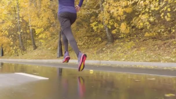 Pernas do homem que corre ao longo da estrada no parque — Vídeo de Stock