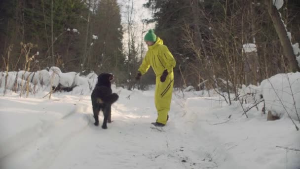 Mulher brincando com o cão na floresta de inverno — Vídeo de Stock