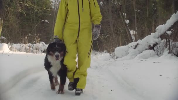 Женщина гуляет с собакой в зимнем лесу — стоковое видео