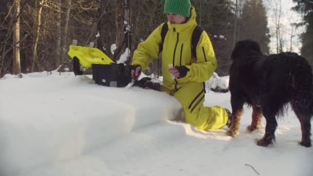 生态学家在冬天森林得到雪的沙姆水 — 图库视频影像