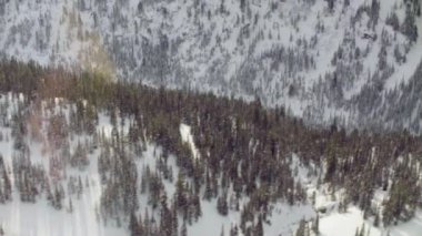 Sibirya dağ orman üzerinde uçan helikopter havadan görünümü