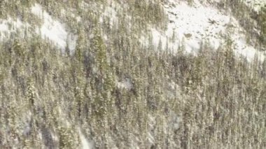 Sibirya dağ orman üzerinde uçan helikopter havadan görünümü