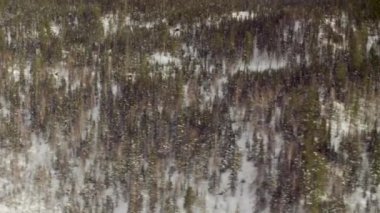 Sibirya dağ orman üzerinde uçan helikopter havadan görünümü