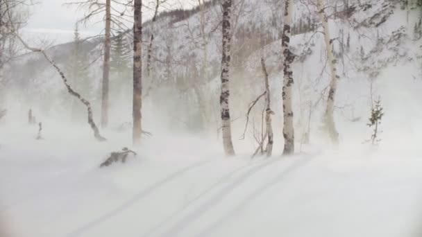 Prise de vue depuis un hélicoptère décollant de la forêt d'hiver 