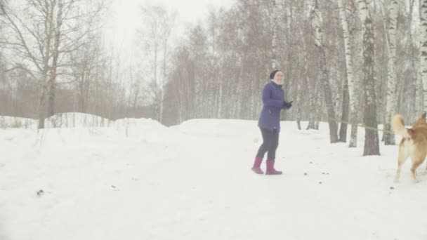 Vrijwilligers wandelen met zwerfhonden van honden beschutting — Stockvideo