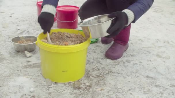 Добровольцы кормят собак в собачьем приюте — стоковое видео