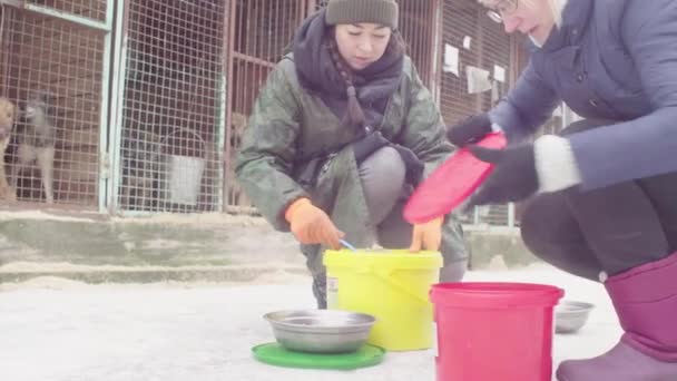 Vrijwilligers die voedsel aan honden in een honden opvang brengen — Stockvideo