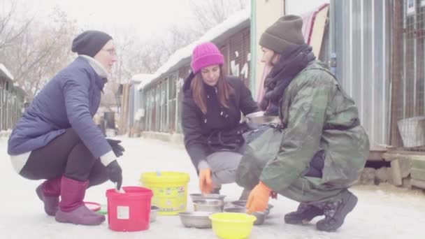 Добровольцы кормят собак в собачьем приюте — стоковое видео