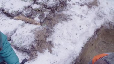 Ekolojist havanın bileşimini analiz