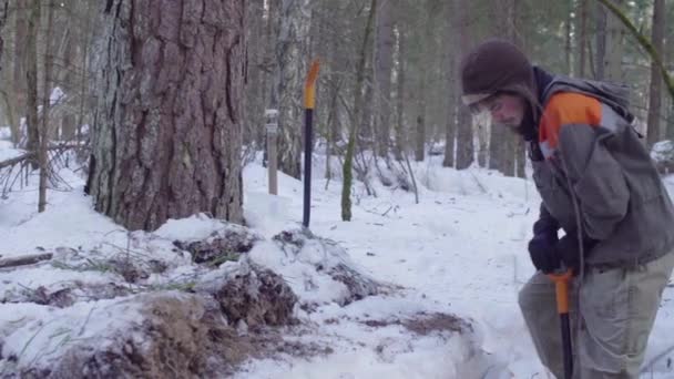 Ecologista en el bosque cavando una hendidura de suelo — Vídeos de Stock