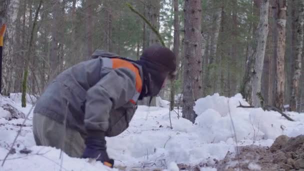 Ökologe im Wald beim Ausheben eines Bodenschlitzes — Stockvideo