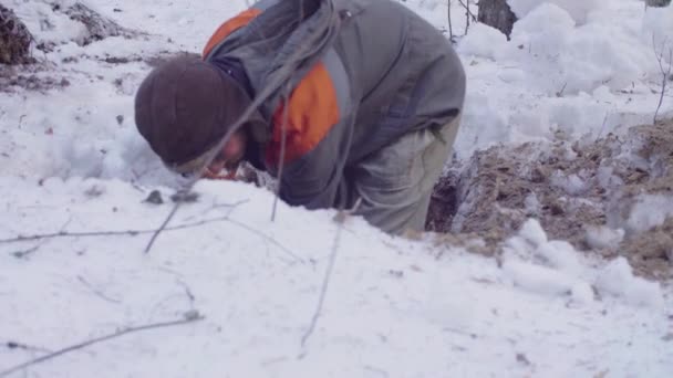 Ecologista en el bosque cavando una hendidura de suelo — Vídeos de Stock