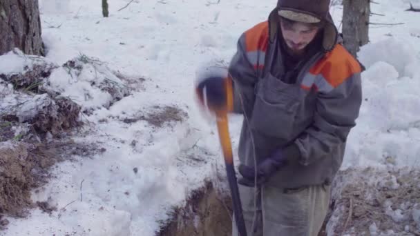 Ecologista na floresta cavando uma fenda de solo — Vídeo de Stock