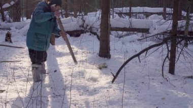 Ekolojist kar örnekleri alır