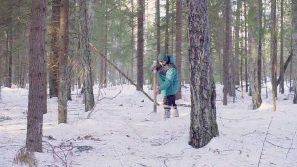 生态学家获取雪的样本 — 图库视频影像