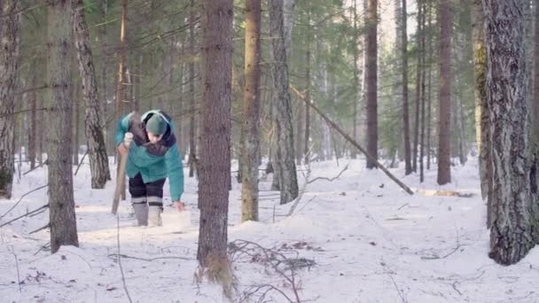 生態学者が雪のサンプルを得る — ストック動画