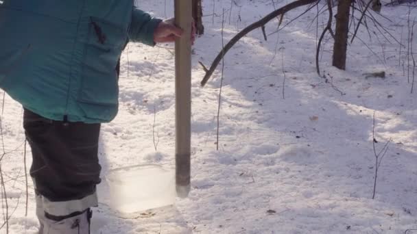 Ecologista recibiendo muestras de nieve — Vídeo de stock