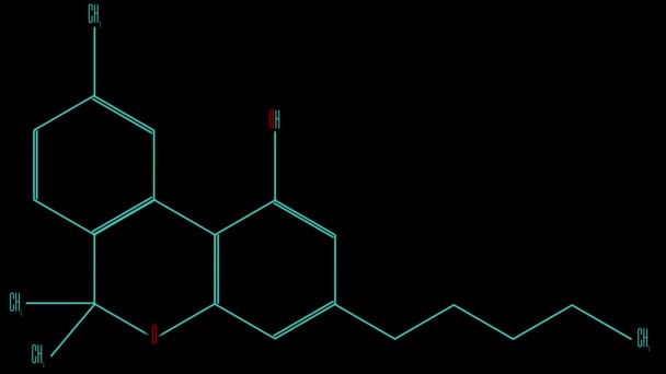 Animation hellblaue Linie zeichnet das Cannabinol-Molekül — Stockvideo
