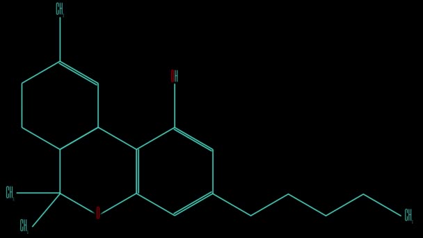 Animation light blue line draws the tetrahydrocannabinol molecule — Stock Video