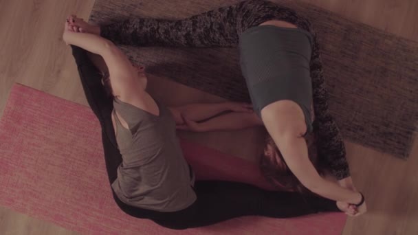 Partneryoga. zwei Frauen machen Yoga-Asanas zu zweit — Stockvideo