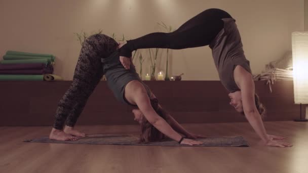 Par yoga. Två kvinnor praktisera yoga i par — Stockvideo