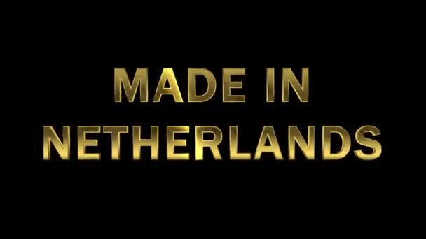 Parçacıklardan toplayan altın harfler - Made in Netherlands — Stok video