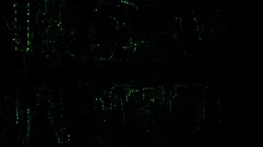 Yeşil metin ile Veri dijital kod 