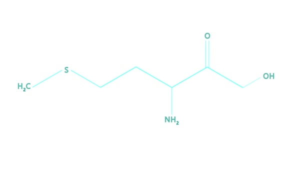 Animation-kemisk formel av vitamin U — Stockvideo