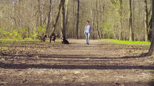 Frau geht mit Berner Schäferhund-Welpen spazieren — Stockfoto