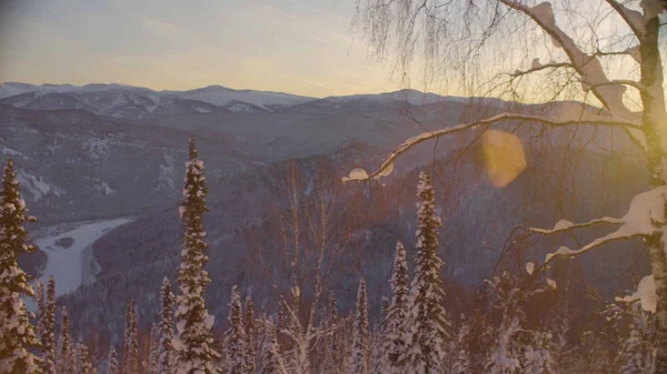 Veduta della foresta invernale sulle montagne siberiane — Foto Stock