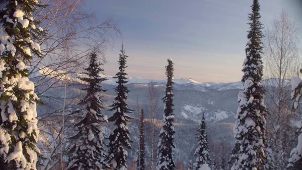 Vista da floresta de inverno nas montanhas siberianas — Fotografia de Stock