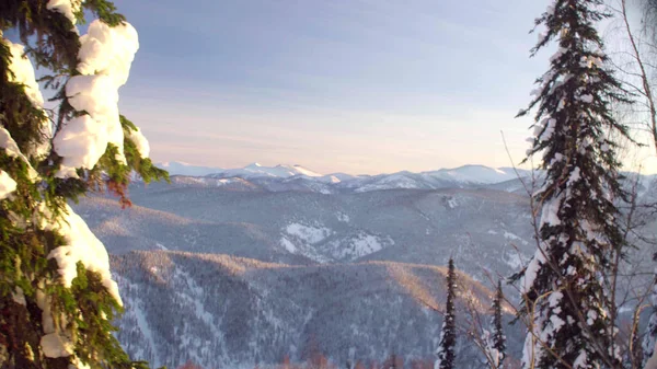 Vista da floresta de inverno nas montanhas siberianas — Fotografia de Stock
