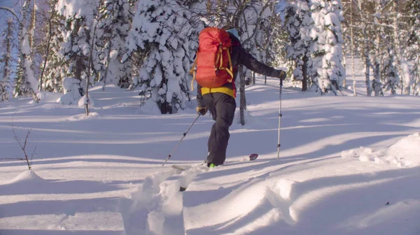 A man skiing in a snowy forest. — Stock Photo, Image