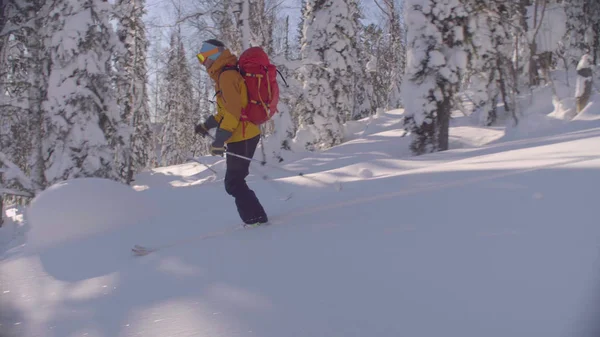 A man riding down the hill in a snowy forest. — Stock Photo, Image