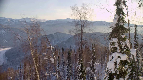 O inverno de floresta nas montanhas siberianas — Fotografia de Stock