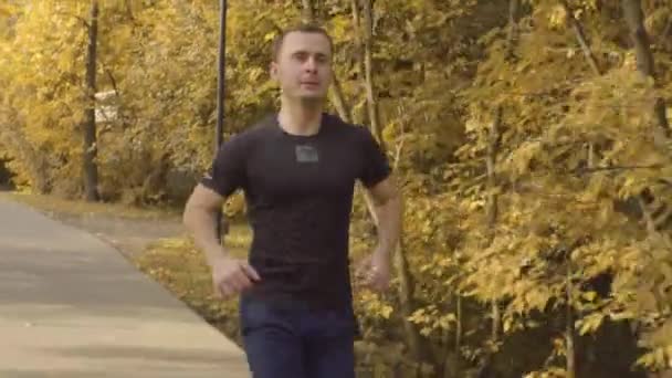 Mann in Sportkleidung läuft Straße im Park entlang — Stockvideo