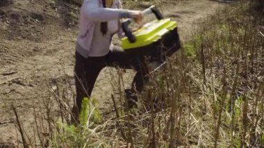 Genç ağaçların fotoğraflarını yapan ekolojist.