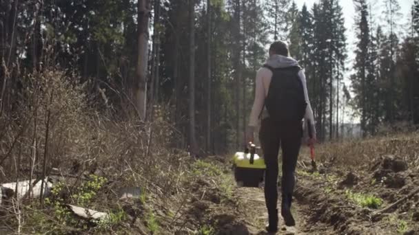 생태학자가 나무 그루터기를 검사합니다. — 비디오