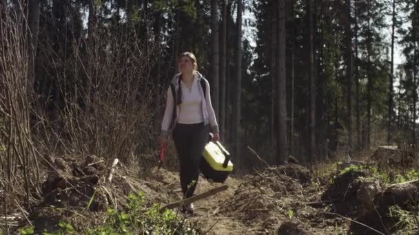 Ecoloog onderzoekt een schade boomstammen — Stockvideo