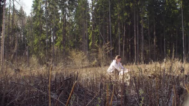 Ecologista en el lugar de la tala forestal en el mapa — Vídeos de Stock