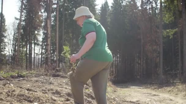 Ehrenamtliche Seniorin pflanzt Baum — Stockvideo