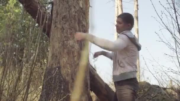Écologiste dans la forêt mesurant les dommages arbre 