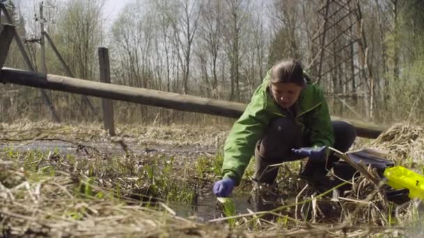 Еколог в лісі отримує зразки — стокове відео